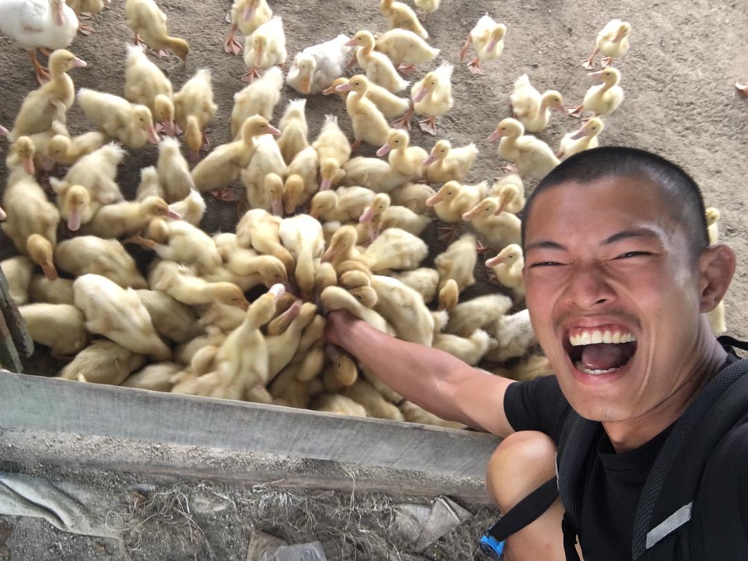 when-you-come-across-a-duck-farm-the-only-sensible-thing-to-do-is-to-spend-some-time-with-its-feathered-residents